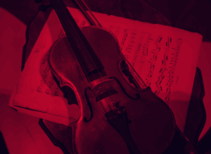 Violino Photo by Philip Myrtorp on Unsplash