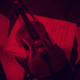 Violino Photo by Philip Myrtorp on Unsplash