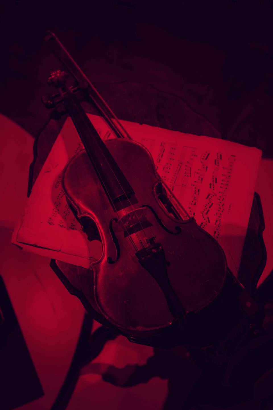 Violino Photo by Philip Myrtorp on Unsplash