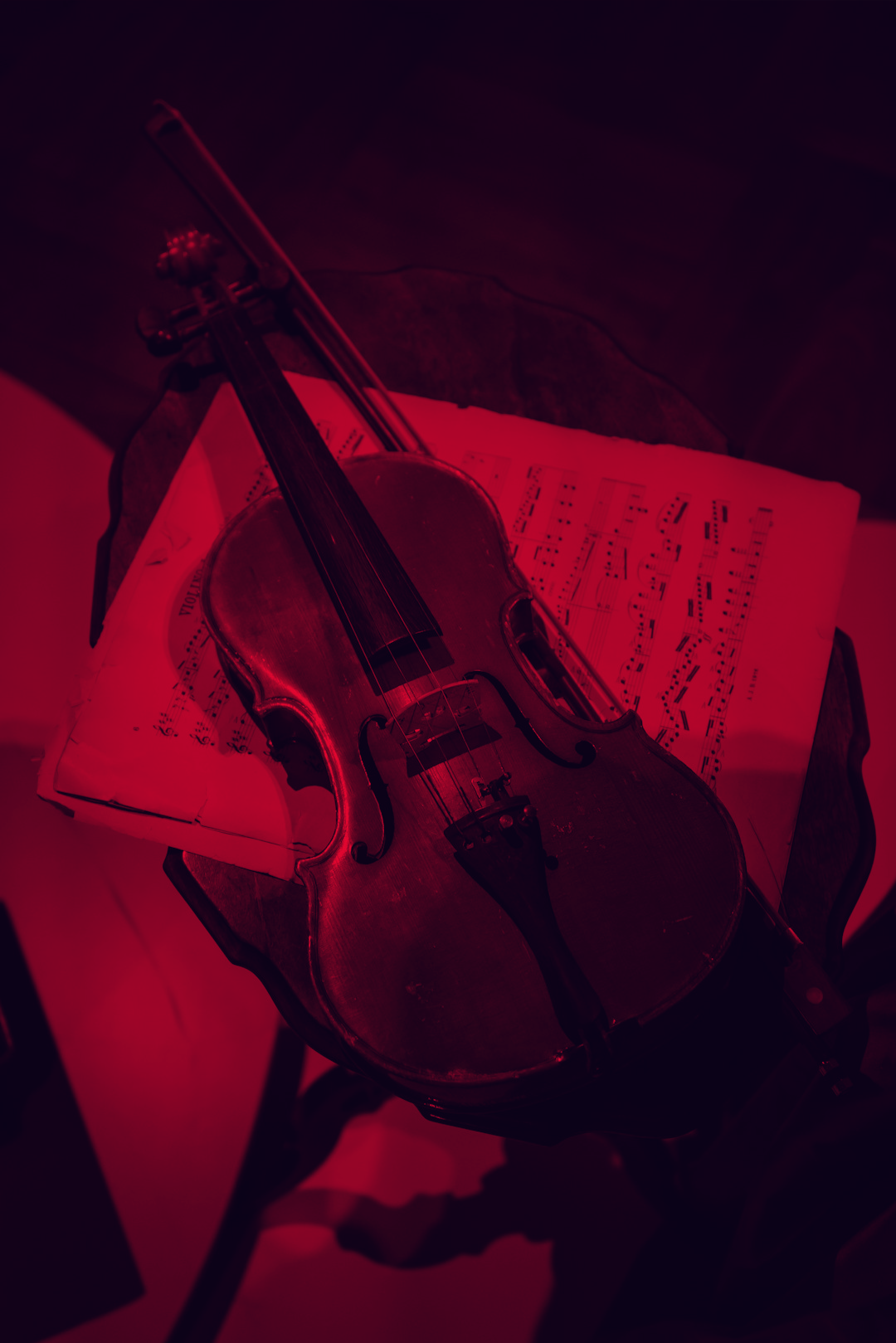 Violino Photo by Philip Myrtorp on Unsplash