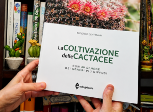 La Coltivazione delle Cactacee
