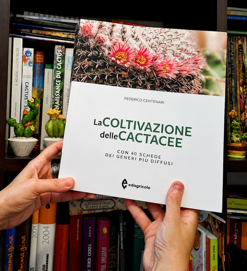 La Coltivazione delle Cactacee