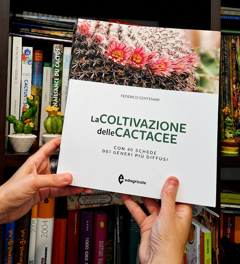 La Coltivazione delle Cactacee